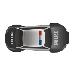 Police Car